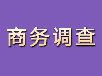 芗城商务调查